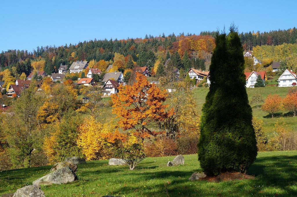 Terrassenpark Apartments Sasbachwalden Buitenkant foto
