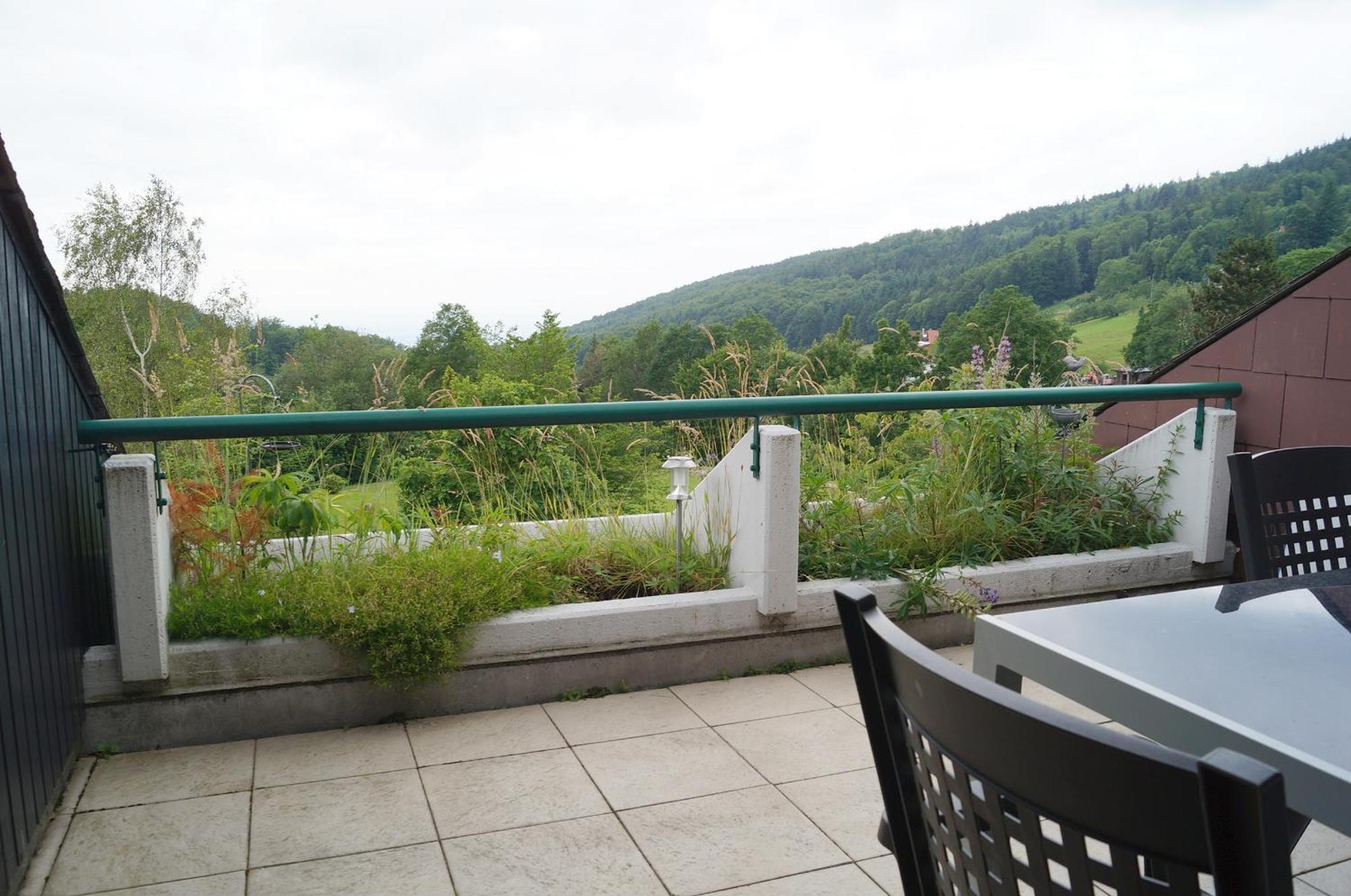 Terrassenpark Apartments Sasbachwalden Kamer foto