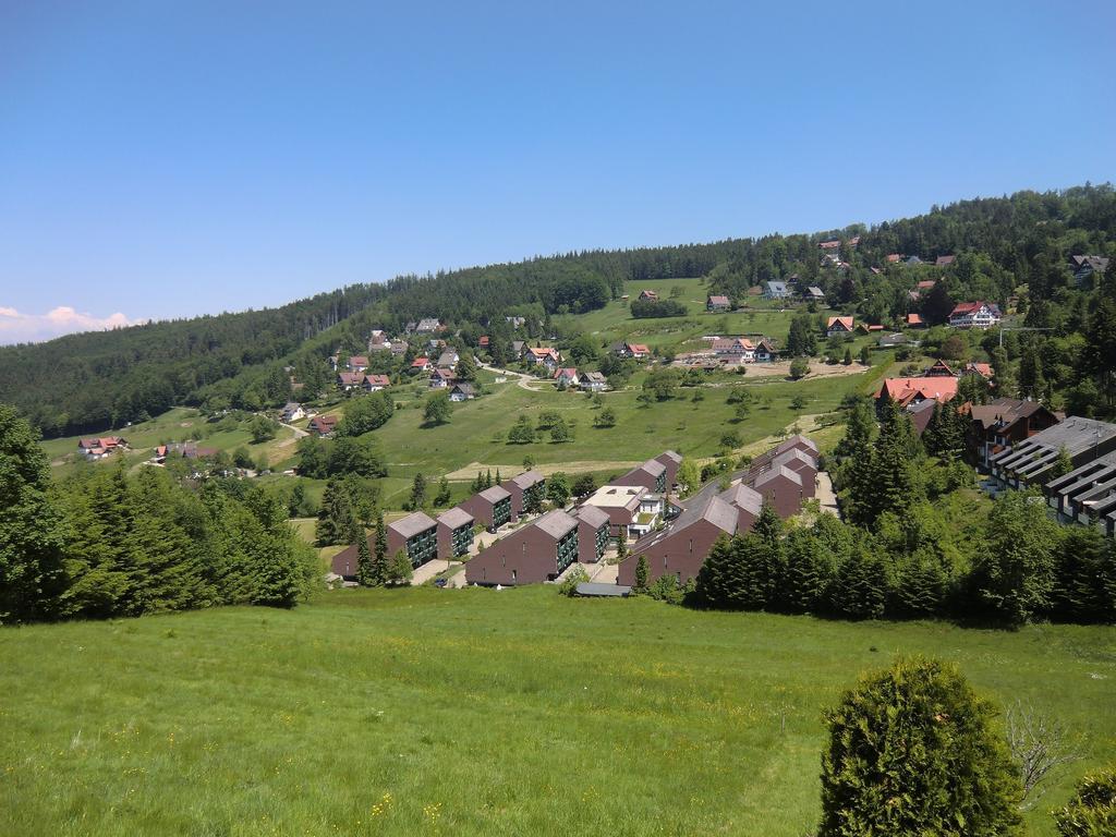 Terrassenpark Apartments Sasbachwalden Kamer foto